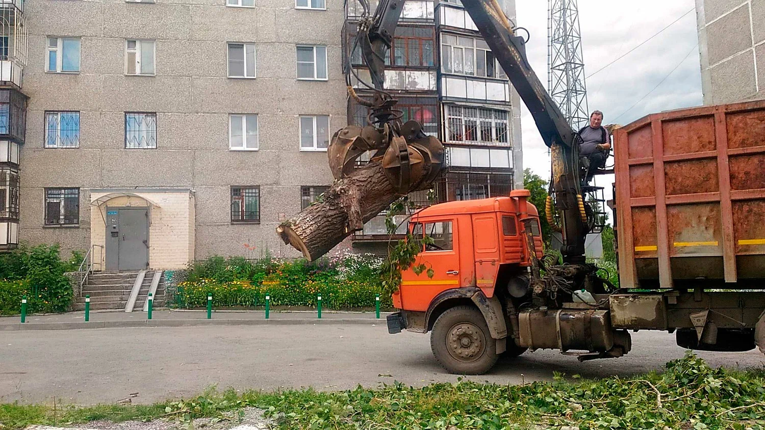 Вывоз спиленных веток и деревьев в Твери от ПроМусор: порубочные остатки, утилизация, цена от 3152 руб